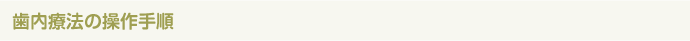 歯内療法の操作手順